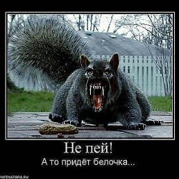 ���� �����, ������, 42 ���� - ��������� 9 ������ 2023