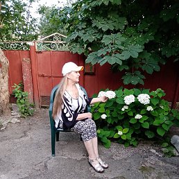 ���������, �������, 74 ����