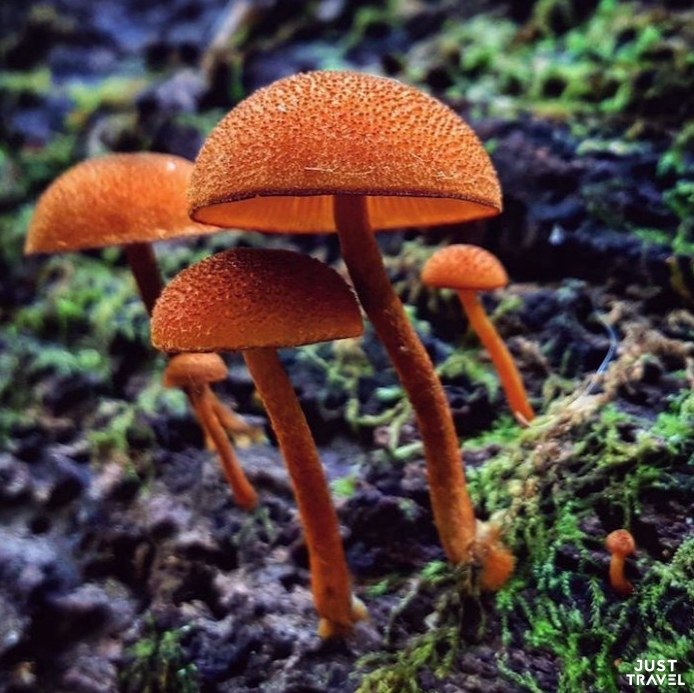 p po a oopa aaa pcopa. aa pcop (Ryan Grastorf)  aopa () c ...