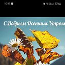 ���� ����, �����-��������� - ��������� 11 ������� 2022 � ������ ���� ����������