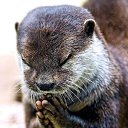 ���� ������ )), ����, 51 ��� - ��������� 27 �������� 2022 � ������ ���� ����������