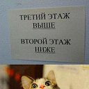 ���� �����, ������ ����� - ��������� 11 ���� 2022 � ������ ������ ��������