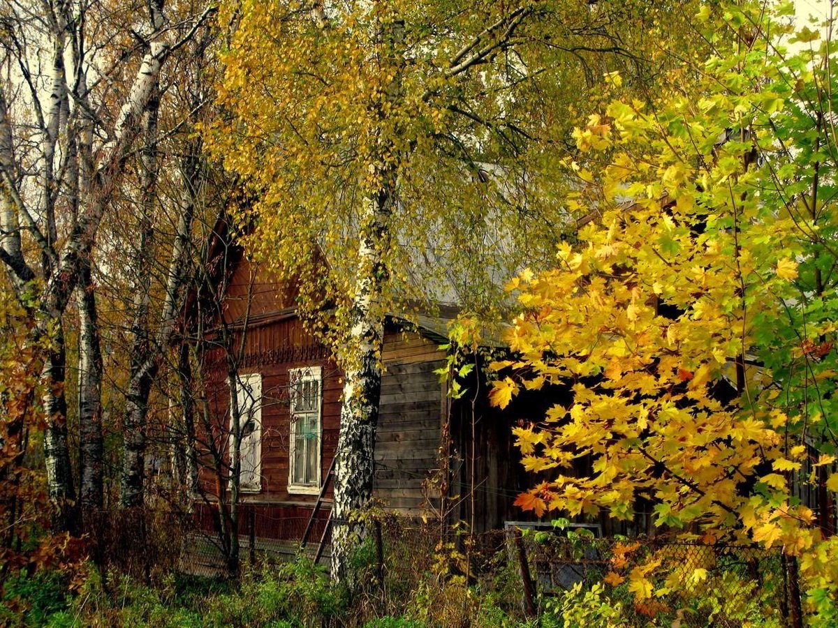 Деревня тем. Деревня Есенина осень. Деревня осенью. Деревенский домик осенью. Дом в деревне осень.