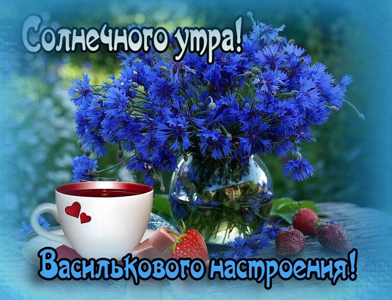   ,    . - 14  2022  20:40 - 6