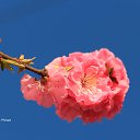 ���� ������, �����, 71 ��� - ��������� 30 ������ 2022 � ������ ��������� ������