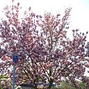 ���� ���������, ������, 73 ���� - ��������� 3 ������ 2023 � ������ ���� ����������