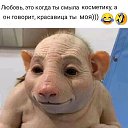 ���� Ta�����, ���� - ��������� 8 ���� 2022 � ������ ������ ��������