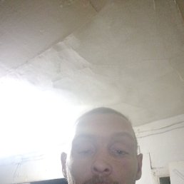 ���� �����, ������, 41 ��� - ��������� 17 ������� 2022