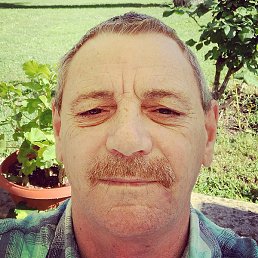 Alexander, ������, 59 ���
