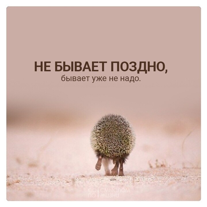 Никогда не бывает поздно бывает уже не надо. Да пошли все на хрен. Не бывает поздно уже не надо. Бывает уже не надо цитаты поздно. Бывает уже не надо цитаты.