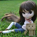 ���� �����, �������� - ��������� 15 ������� 2022 � ������ ���� ����������