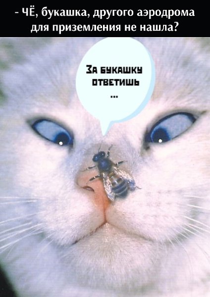       - 21  2022  19:03