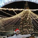 ���� ����, �������, 44 ���� - ��������� 3 ������ 2023 � ������ ���� ����������