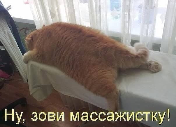    - 26  2022  00:38