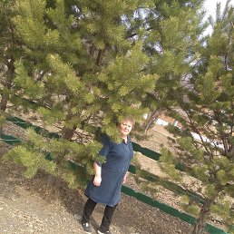 ���� �������, �������, 60 ��� - ��������� 20 ���� 2022