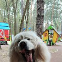 ���� ... ���� ..., �������, 43 ���� - ��������� 28 ������ 2022 � ������ ���� ����������