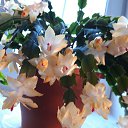 ���� ����, ���������� �����, 46 ��� - ��������� 8 ������� 2022 � ������ ���� ����������