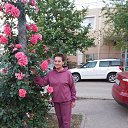 ���� ����, ��������� - ��������� 20 ������ 2022 � ������ ���� ����������