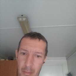 , 40 , 