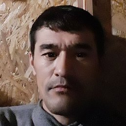 �������, �����-���������, 37 ���