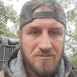 �����, ������, 54 ����