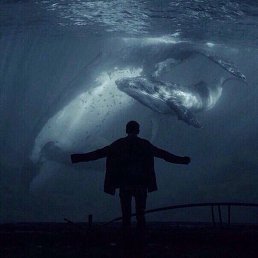 Sille, �����-���������, 31 ���