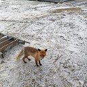 ���� �������, ����������, 50 ��� - ��������� 25 �������� 2022