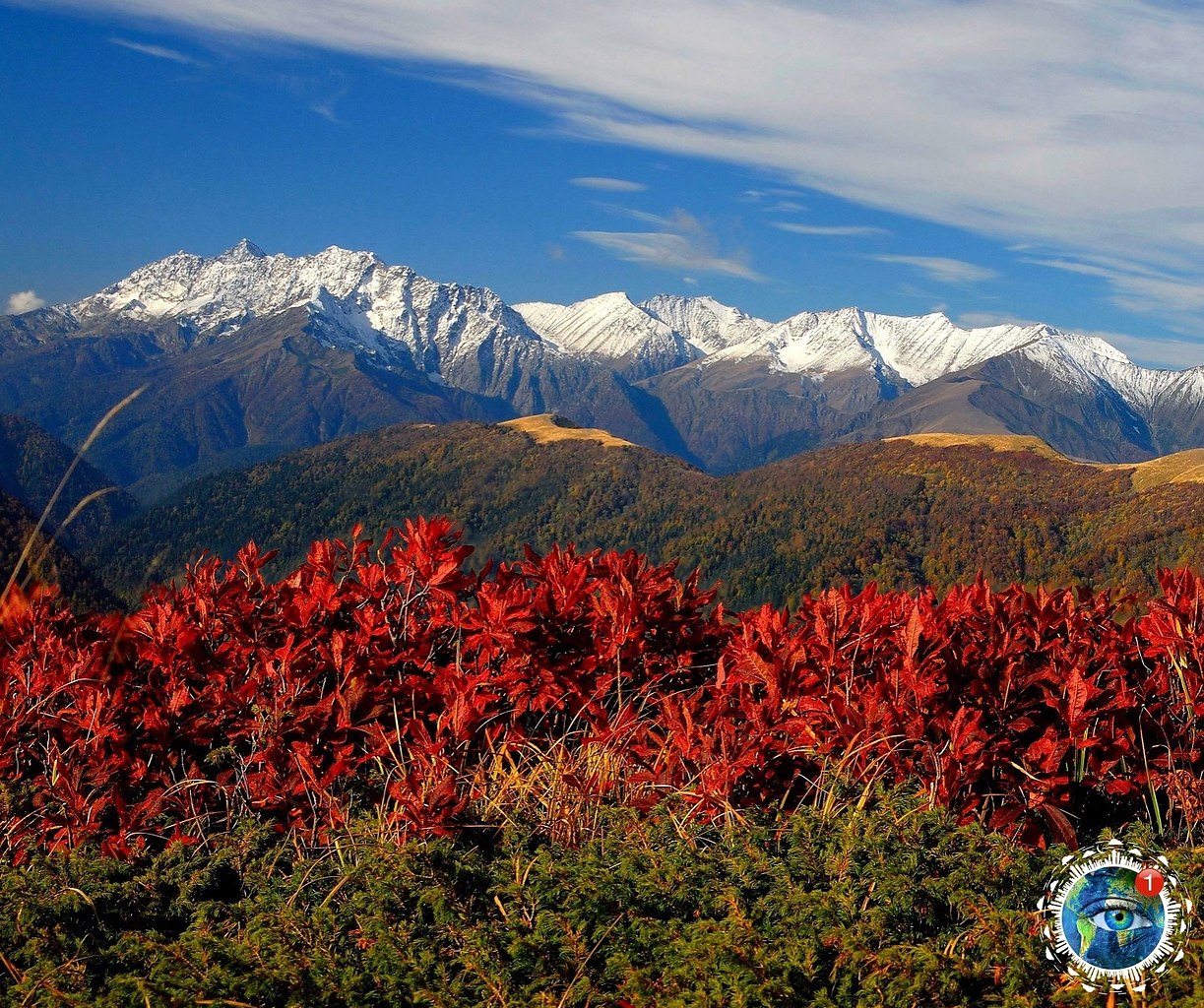 eca e (e). c e e cpa   