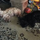 ���� ������, ������, 55 ��� - ��������� 19 ������� 2022 � ������ ���� ����������