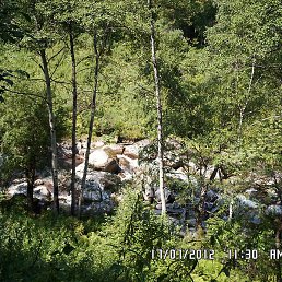 ���, ������