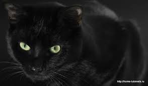  .  ,        .    ...