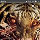 ���� ������, �������, 46 ��� - ��������� 3 ������� 2023 � ������ ���� ����������