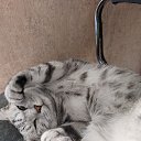 ���� ������, �����������, 49 ��� - ��������� 21 ���� 2022 � ������ ���� ����������