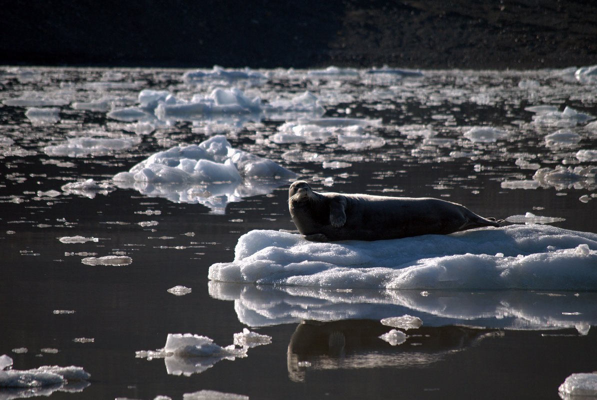 Яна - 6 ноября 2022 в 15:11