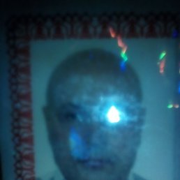 ����, ��������, 56 ���