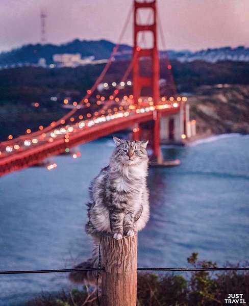 o.o  eo eec #art #travel #world
