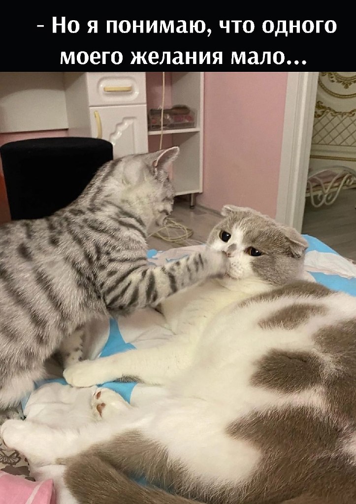 -     .-   ,     ... -   . - 2