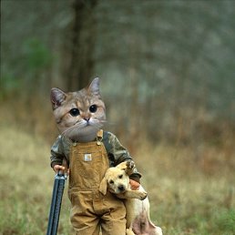 �����, ������, 42 ����