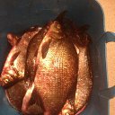 ���� ����, ���������, 57 ��� - ��������� 14 ������� 2023