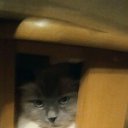 ���� �����, ����������, 31 ��� - ��������� 5 ������ 2023