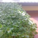 ���� ������, �������, 38 ��� - ��������� 3 ������ 2022 � ������ �111�