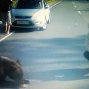 ���� V-italiano, ������, 50 ��� - ��������� 28 ���� 2022 � ������ ���� ����������