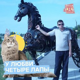 E������, ������, 49 ���