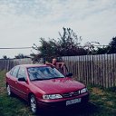 ���� ������, �����������������, 55 ��� - ��������� 31 ������ 2023