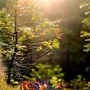 ���� �����, ���������� - ��������� 16 ������� 2022 � ������ ���� ����������