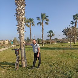 ���� ����, ���������, 42 ���� - ��������� 10 ������� 2022