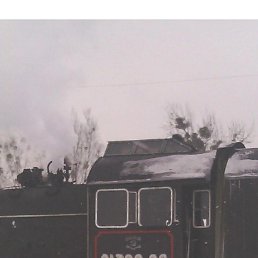 ���� �����, ������, 42 ���� - ��������� 1 ���� 2022