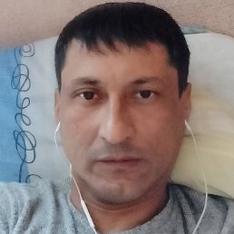 ��������, �����������, 49 ���