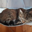 ���� ����, ���������, 53 ���� - ��������� 4 ������ 2022 � ������ ��������