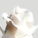 ���� ���������, ������, 50 ��� - ��������� 16 ������ 2023 � ������ ���� ����������